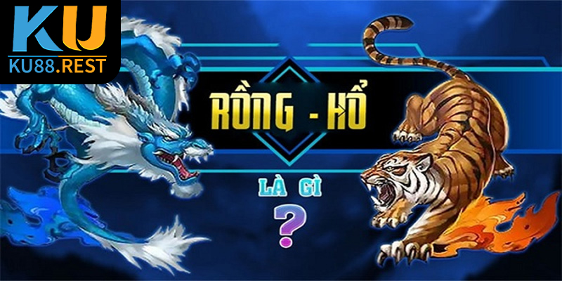 Rồng Hổ là gì